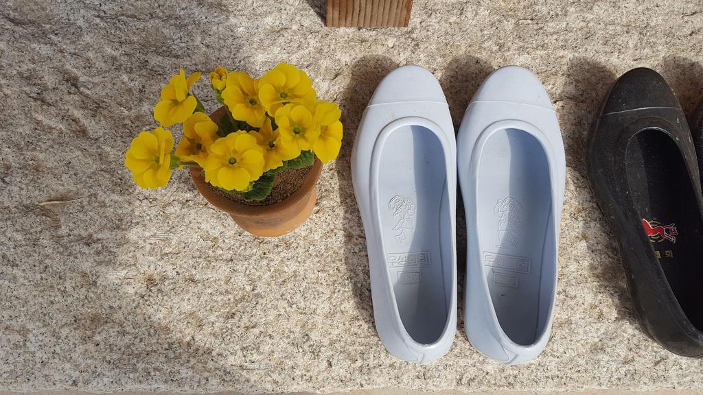 Misori Guesthouse Kvangdzsu Kültér fotó